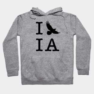 I Hawk Iowa Hoodie